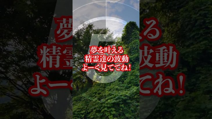 ⚠️幸運を呼ぶ精霊の奇跡映像⚠️ #スピリチュアル #人生激変 #奇跡 #開運