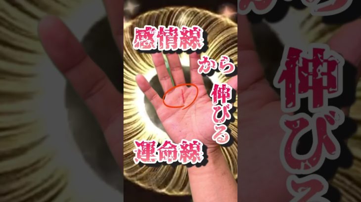 【晩年運気が上がる手相】 #占い #手相 #手相占い #スピリチュアル #島田秀平 #ゲッターズ飯田  #突然ですが占ってもいいですか  #大器晩成  #金運  #金運上昇  #金運アップ