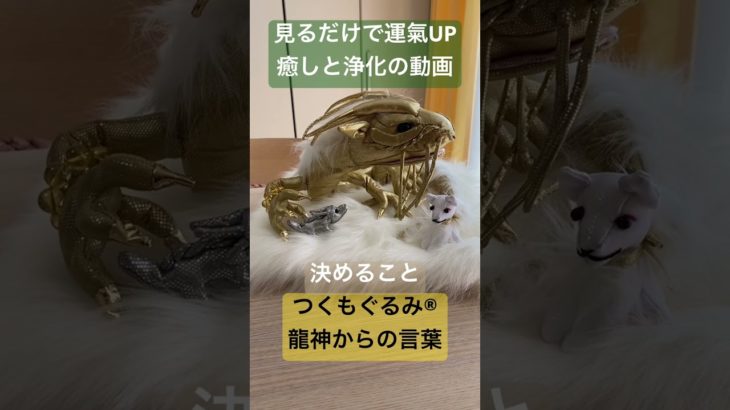 #龍神様 #癒し #龍神 #スピリチュアル #龍神パワー #浄化 #つくもぐるみ #金運アップ #神様が宿るぬいぐるみ #金龍 #銀龍 #白狼