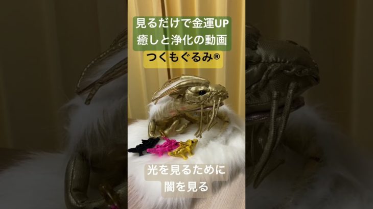 #スピリチュアル #龍神様 #つくもぐるみ #癒し #龍神 #龍神パワー #浄化 #金運アップ #神様が宿るぬいぐるみ #金龍 #黒龍 #黄龍 #姫龍