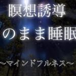 【誘導瞑想】心と体の癒し|そのまま睡眠|不安解消|心の解放