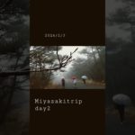 【vlog】宮崎旅day2#宮崎旅行 #北海道 #アラフォー #vlog #スピリチュアル #思い出