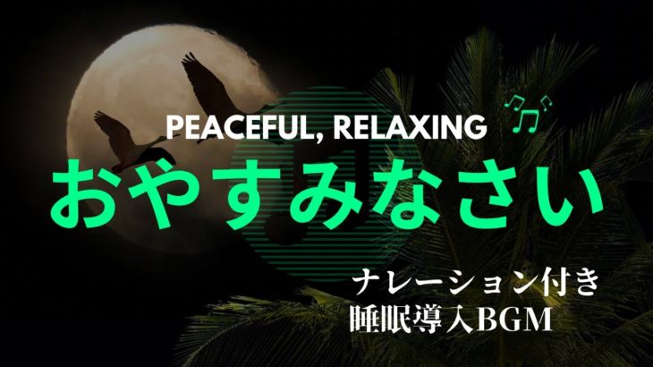 「心を落ち着かせる癒しの瞑想:リラックスと平穏の音楽」#リラックス　#voicevox :冥鳴ひまり