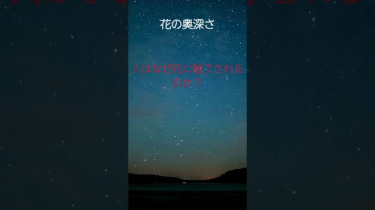 1｛まゆのあかりch運気上昇｝＃スピリチュアル #開運 #幸福度アップ #金運上昇 #対人関係上昇 #仕事運上昇