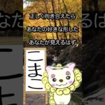 4/11のメッセージ♡ #こまこのまいにちメッセージ #スピリチュアルメッセージ #スピリチュアル好きな人と繋がりたい