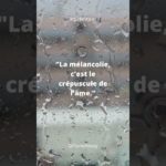 Citation n°253 #motivation #argent #amour #viral #money #wellbeing #development #life #citation