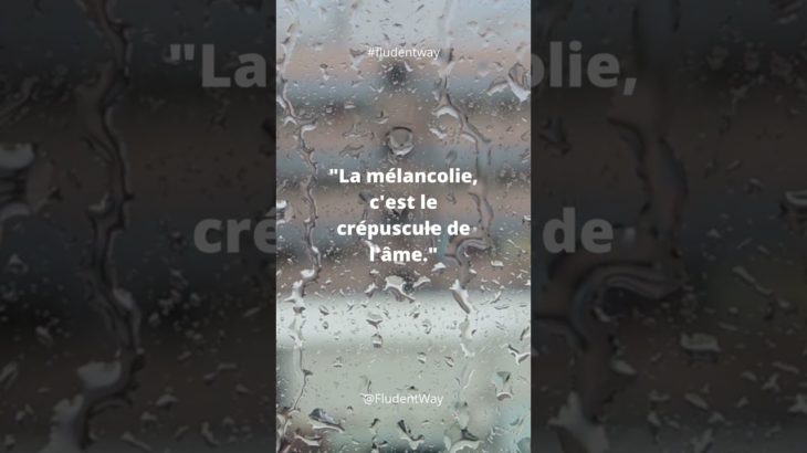 Citation n°253 #motivation #argent #amour #viral #money #wellbeing #development #life #citation