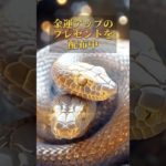 プロフリンクからLINE追加で、3大特典をプレゼント⛩✨  #スピリチュアル #金運 #開運