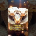 プロフリンクからLINE追加で、3大特典をプレゼント⛩✨  #スピリチュアル #金運 #開運