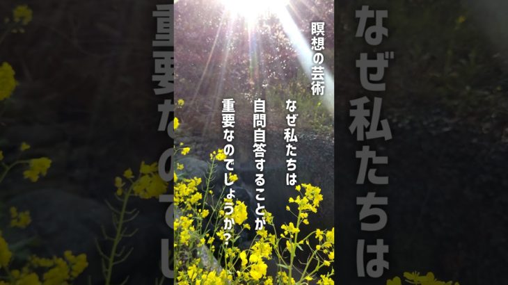 【Powerspot＆Healing】瞑想の芸術　~AI作文~ 【自然の音で癒し】