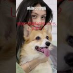 ｛まゆのあかりch運気上昇｝＃スピリチュアル #開運 #幸福度アップ #金運上昇 #対人関係上昇 #仕事運上昇