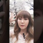 桜ってめちゃスピリチュアル🌸#イリス愛理#スピリチュアル #運気アップ #桜#外国人#sakura