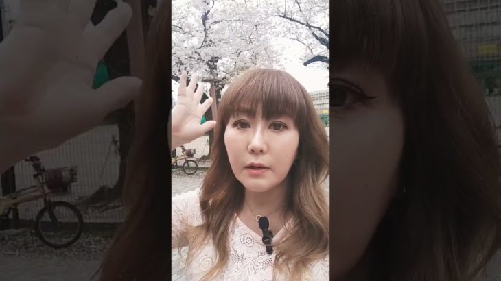 桜ってめちゃスピリチュアル🌸#イリス愛理#スピリチュアル #運気アップ #桜#外国人#sakura