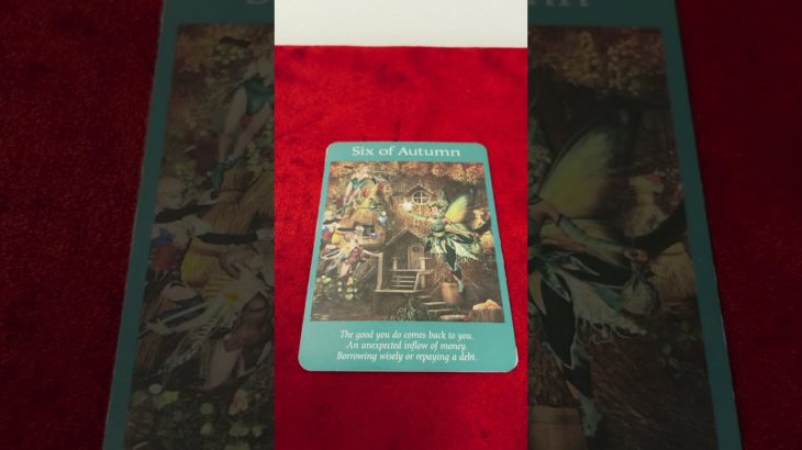 #オラクルカード #占い #カードリーディング #タロット #恋愛 #スピリチュアル #ソウルメイト #タロットリーディング #今日の一枚 #sixofautumu