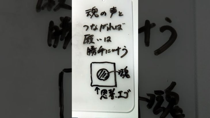 人のせいにした瞬間あなたは100%エネルギーを失い誰かに人生を乗っ取られる！ #スピリチュアル #ハイヤーセルフ #願望実現