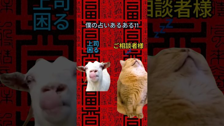 僕の占いあるある11#占い ＃ #スピリチュアルリーディング＃ #猫ミーム＃会社