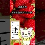 5/11のメッセージ♡ #こまこのまいにちメッセージ #スピリチュアルメッセージ #スピリチュアル好きな人と繋がりたい