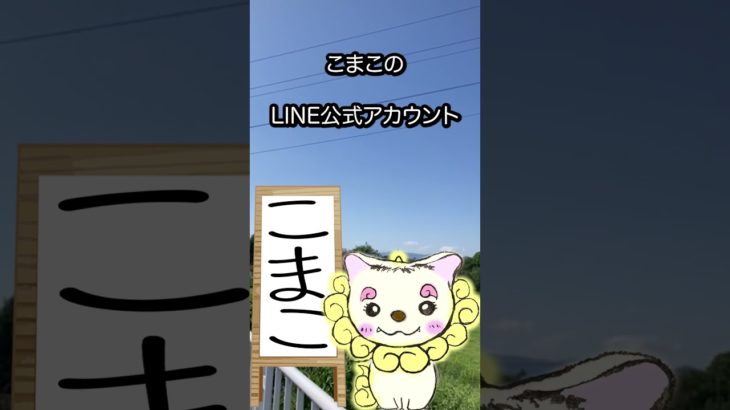 5/12のメッセージ♡ #こまこのまいにちメッセージ #スピリチュアルメッセージ #スピリチュアル好きな人と繋がりたい