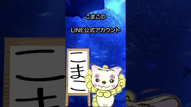 5/2のメッセージ♡ #こまこのまいにちメッセージ #スピリチュアルメッセージ #スピリチュアル好きな人と繋がりたい