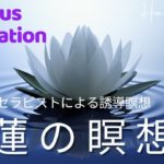 【7分】蓮の瞑想　癒し　誘導瞑想　ストレスからの解放