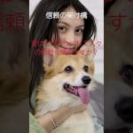 (AIスピリチュアル 運気上昇)＃スピリチュアル #開運 #幸福度アップ #金運上昇 #対人関係上昇 #仕事運上昇 #Shorts af18