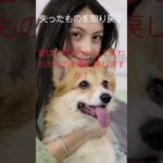 (AIスピリチュアル 運気上昇)＃スピリチュアル #開運 #幸福度アップ #金運上昇 #対人関係上昇 #仕事運上昇 #Shorts af36