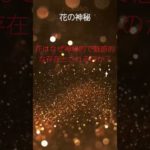 (AIスピリチュアル 運気上昇)＃スピリチュアル #開運 #幸福度アップ #金運上昇 #対人関係上昇 #仕事運上昇 #Shorts c43