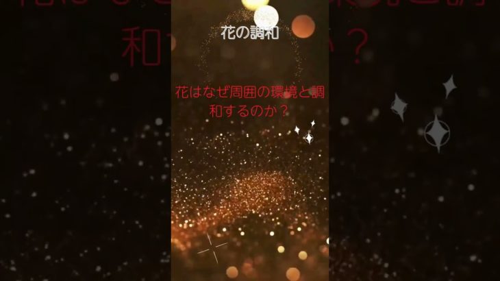 (AIスピリチュアル 運気上昇)＃スピリチュアル #開運 #幸福度アップ #金運上昇 #対人関係上昇 #仕事運上昇 #Shorts c51