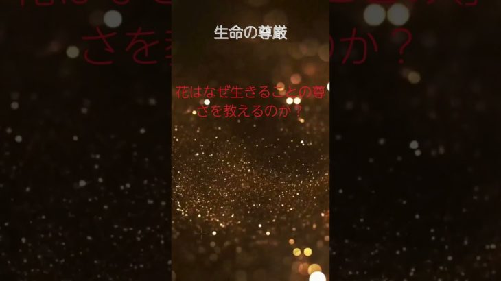 (AIスピリチュアル 運気上昇)＃スピリチュアル #開運 #幸福度アップ #金運上昇 #対人関係上昇 #仕事運上昇 #Shorts d27