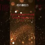 (AIスピリチュアル 運気上昇)＃スピリチュアル #開運 #幸福度アップ #金運上昇 #対人関係上昇 #仕事運上昇 #Shorts d42