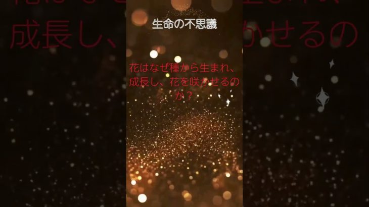 (AIスピリチュアル 運気上昇)＃スピリチュアル #開運 #幸福度アップ #金運上昇 #対人関係上昇 #仕事運上昇 #Shorts d54