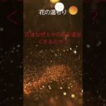 (AIスピリチュアル 運気上昇)＃スピリチュアル #開運 #幸福度アップ #金運上昇 #対人関係上昇 #仕事運上昇 #Shorts d60