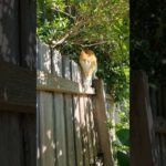 Before progress, heal past wounds or reorganise emotional well-being for present benefits