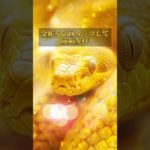 プロフリンクからLINE追加で、3大特典をプレゼント⛩✨  #スピリチュアル #金運 #開運