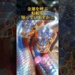 プロフリンクからLINE追加で、3大特典をプレゼント⛩✨  #スピリチュアル #金運 #開運