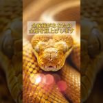 プロフリンクからLINE追加で、3大特典をプレゼント⛩✨  #スピリチュアル #金運 #開運