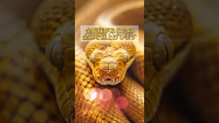 プロフリンクからLINE追加で、3大特典をプレゼント⛩✨  #スピリチュアル #金運 #開運