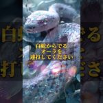 プロフリンクからLINE追加で、3大特典をプレゼント⛩✨  #スピリチュアル #金運 #開運