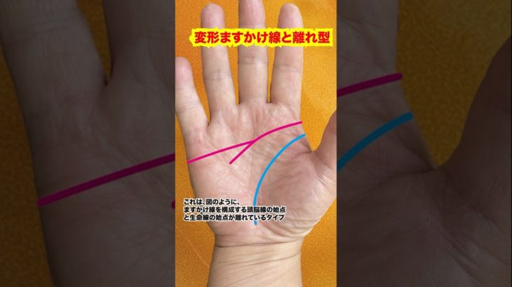珍しい変形ますかけ線 #手相 #占い #スピリチュアル #強運 #波乱万丈