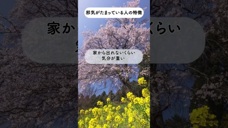 【邪気がたまっている人の特徴】#邪気 #スピリチュアル