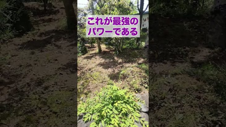 人力で草刈り中に偶然聞こえた神様の声 #スピリチュアル #運気アップ #金運