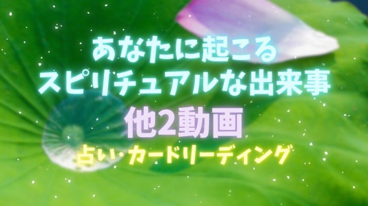 【驚愕‼️🫨】あなたに起こる❗️スピリチュアルな出来事‼️他２動画‼️人生が変わるオラクルカードリーディング✨占い✨スピリチュアル✨