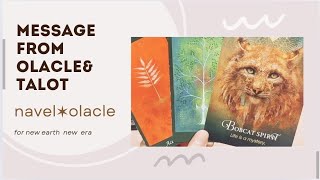 【印象✶エネルギー】メッセージ感強め😇🕊️💓・タロット・オラクルカード・カードリーディング・スピリチュアル