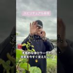 【スピリチュアル革命】本格的な浄化ワークで今すぐ現実を変えたい人いませんか？#浄化 #スピリチュアル #引き寄せの法則 #潜在意識 #潜在意識書き換え