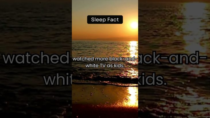 A good night’s sleep boosts memory, creativity, and overall well-being