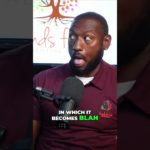 Enhancing Well being and Productivity in the IDD Field #Idd #podcast