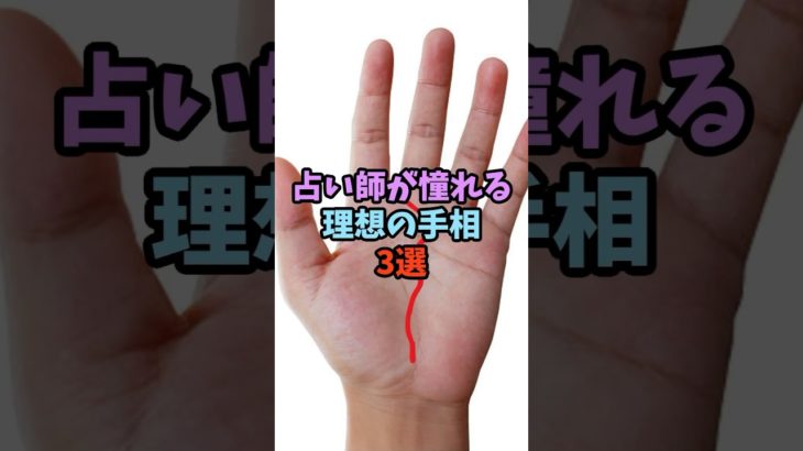 占い師が憧れる理想の手相3選  #スピリチュアル #サイン #金運 #運 #大金 #開運 #幸運 #財運 #風水 #占い #手相 #shorts