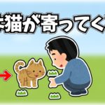 幸運を呼ぶスピリチュアルのサイン6選