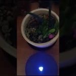 Relaxation – Health + Financial well-being.    #Club Live Good #health #money #dreams #motivation