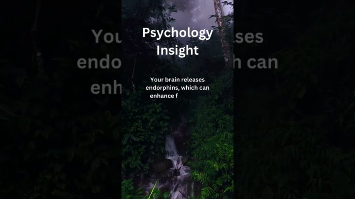 Research Shows: The Impact of Joy on Mental Well-being